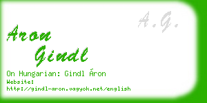 aron gindl business card